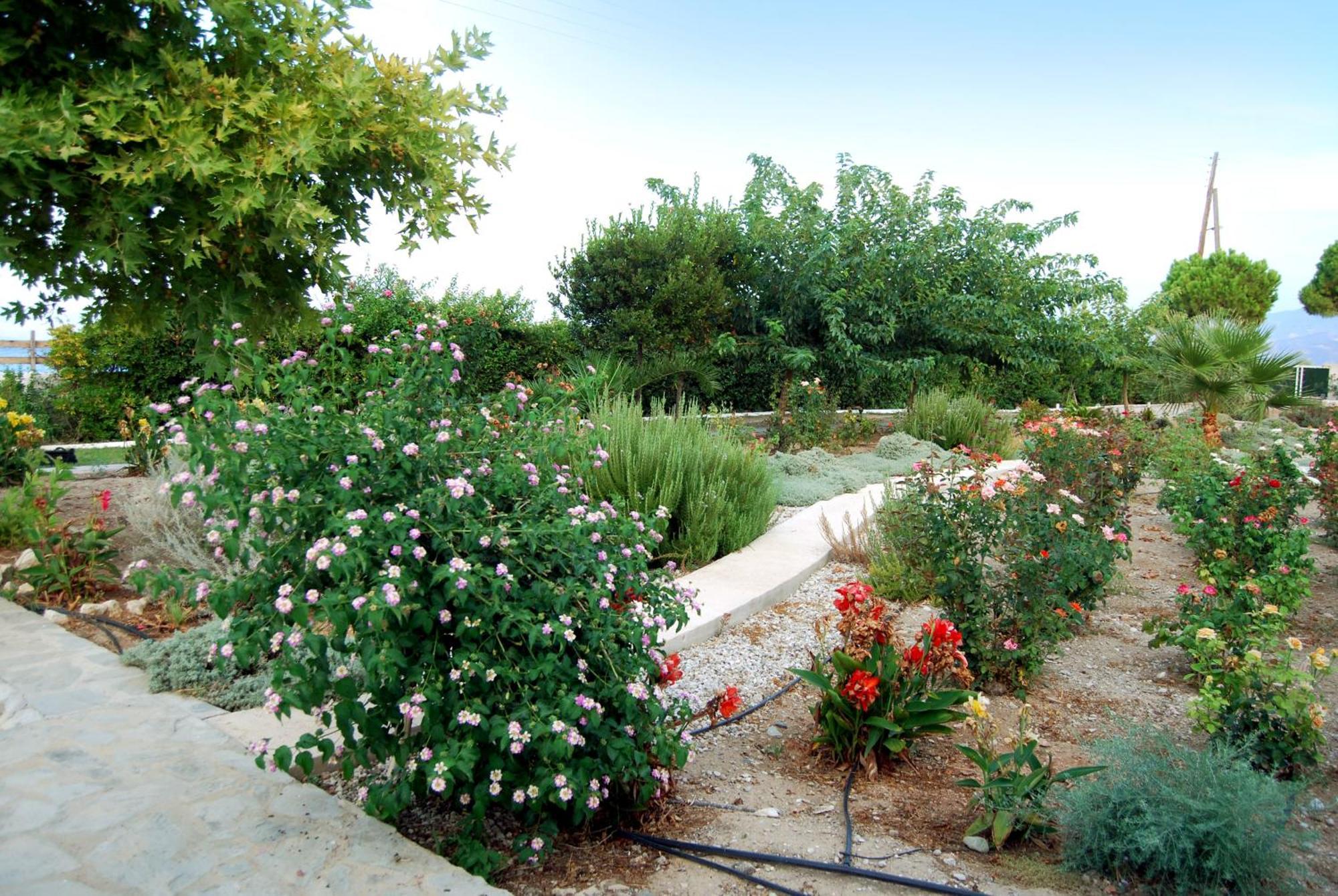 Villa أكراتا المظهر الخارجي الصورة